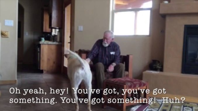 Utroligt: Ældre mand med alzheimer kan tale, når han er sammen med sin hund