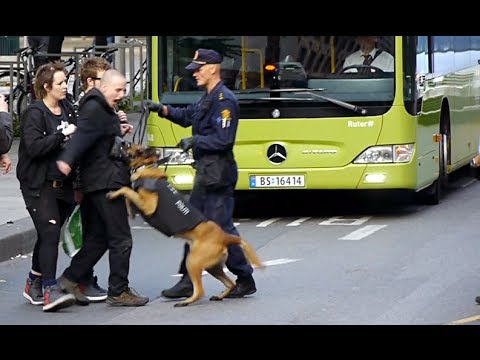 VIDEO: Sådan får politiet styr på de autonome