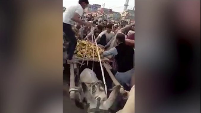 HJERTESKÆRENDE VIDEO: Se hvad de gør ved 12-årig dreng