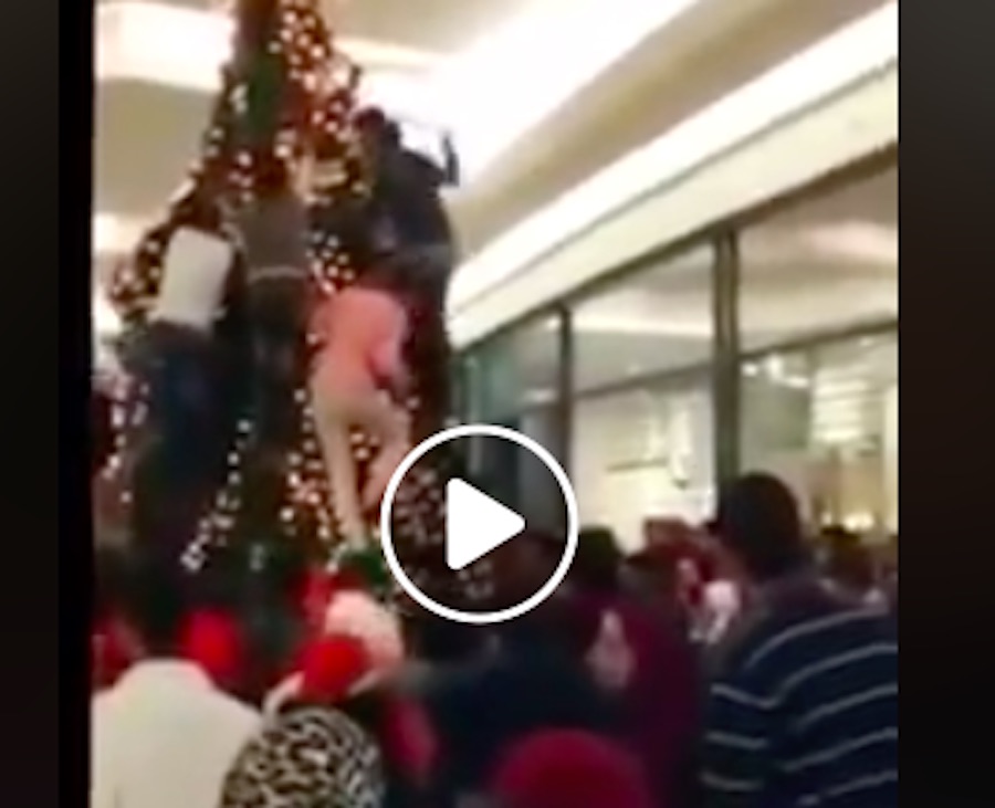 indvandrere ødelægge juletræ