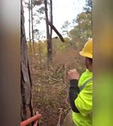 VIDEO: Her får mand træstamme i hovedet!