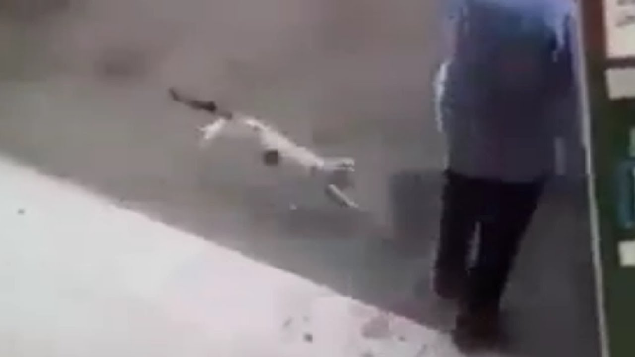 VIDEO: Mand angrebet af kat