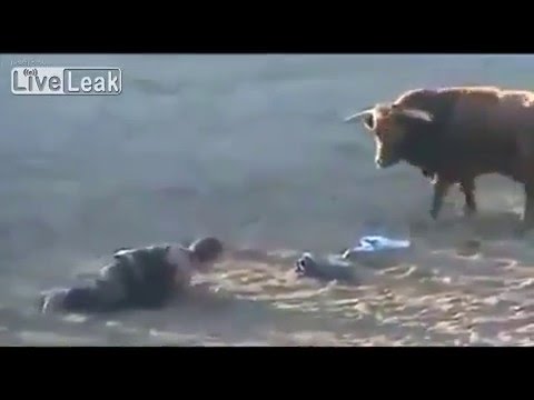 VIDEO: Mand stanget brutalt af tyr!